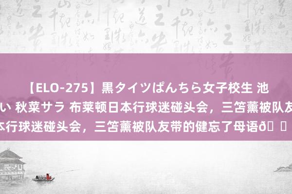 【ELO-275】黒タイツぱんちら女子校生 池谷ひかる さくら 宮下まい 秋菜サラ 布莱顿日本行球迷碰头会，三笘薰被队友带的健忘了母语?