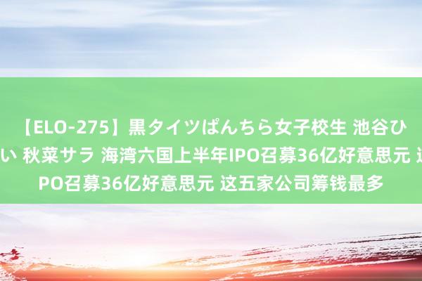 【ELO-275】黒タイツぱんちら女子校生 池谷ひかる さくら 宮下まい 秋菜サラ 海湾六国上半年IPO召募36亿好意思元 这五家公司筹钱最多