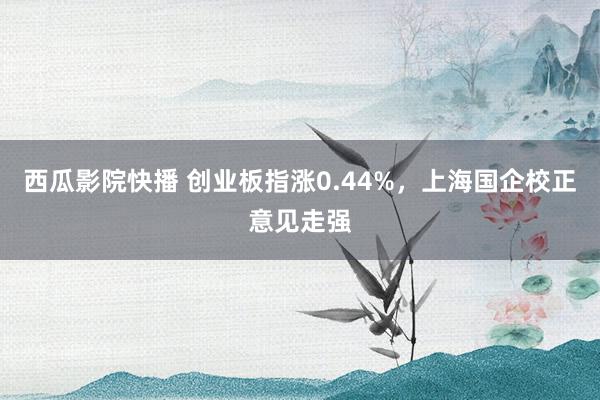 西瓜影院快播 创业板指涨0.44%，上海国企校正意见走强