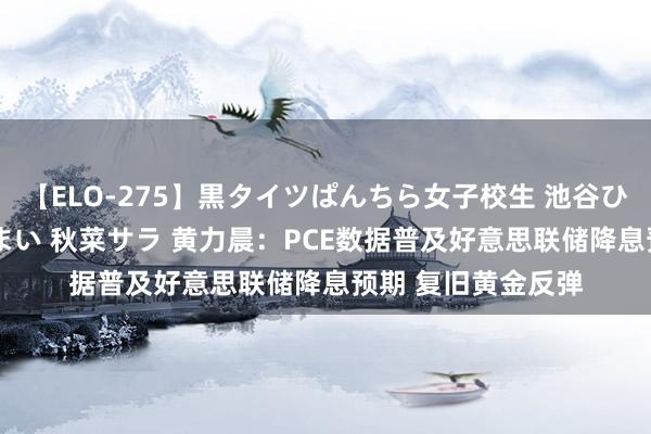 【ELO-275】黒タイツぱんちら女子校生 池谷ひかる さくら 宮下まい 秋菜サラ 黄力晨：PCE数据普及好意思联储降息预期 复旧黄金反弹