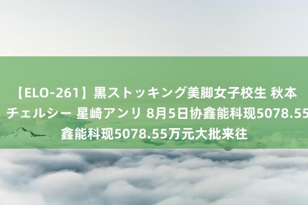 【ELO-261】黒ストッキング美脚女子校生 秋本レオナ さくら チェルシー 星崎アンリ 8月5日协鑫能科现5078.55万元大批来往