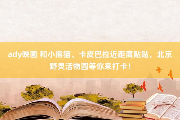 ady映画 和小熊猫、卡皮巴拉近距离贴贴，北京野灵活物园等你来打卡！