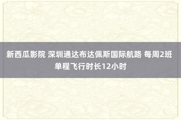 新西瓜影院 深圳通达布达佩斯国际航路 每周2班 单程飞行时长12小时