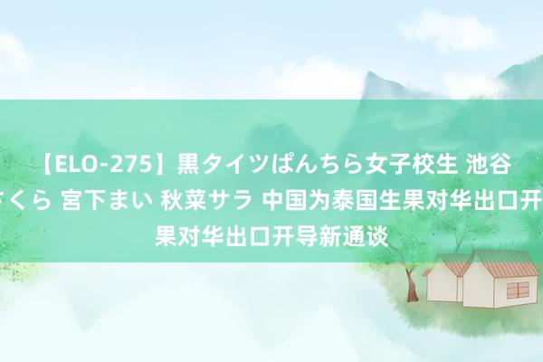 【ELO-275】黒タイツぱんちら女子校生 池谷ひかる さくら 宮下まい 秋菜サラ 中国为泰国生果对华出口开导新通谈