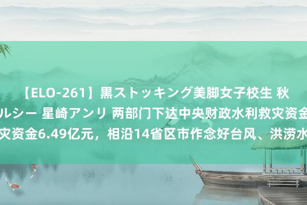 【ELO-261】黒ストッキング美脚女子校生 秋本レオナ さくら チェルシー 星崎アンリ 两部门下达中央财政水利救灾资金6.49亿元，相沿14省区市作念好台风、洪涝水利防汛救灾联系责任