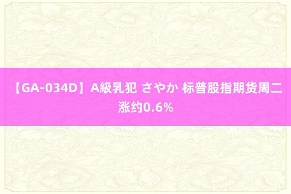 【GA-034D】A級乳犯 さやか 标普股指期货周二涨约0.6%