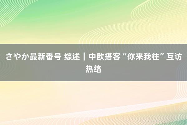 さやか最新番号 综述｜中欧搭客“你来我往”互访热络