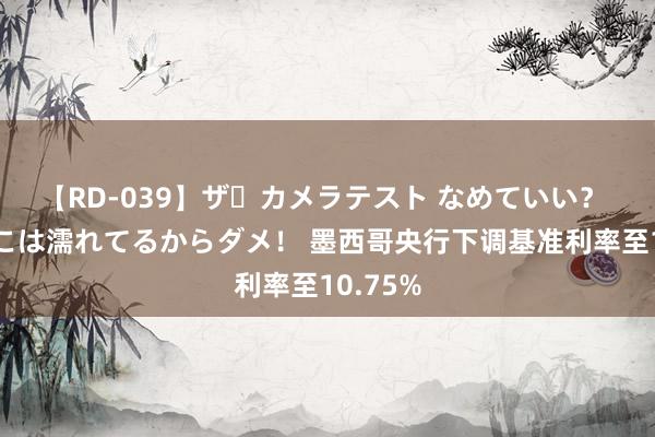 【RD-039】ザ・カメラテスト なめていい？ あ！そこは濡れてるからダメ！ 墨西哥央行下调基准利率至10.75%