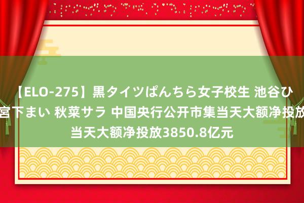 【ELO-275】黒タイツぱんちら女子校生 池谷ひかる さくら 宮下まい 秋菜サラ 中国央行公开市集当天大额净投放3850.8亿元