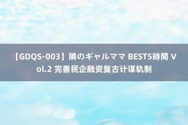 【GDQS-003】隣のギャルママ BEST5時間 Vol.2 完善民企融资复古计谋轨制