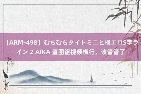 【ARM-498】むちむちタイトミニと極エロS字ライン 2 AIKA 盗图盗视频横行，该管管了