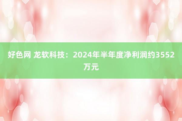 好色网 龙软科技：2024年半年度净利润约3552万元