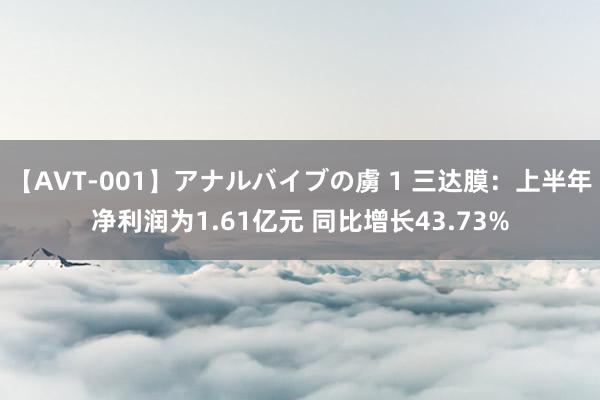 【AVT-001】アナルバイブの虜 1 三达膜：上半年净利润为1.61亿元 同比增长43.73%