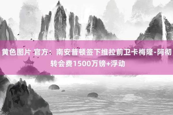 黄色图片 官方：南安普顿签下维拉前卫卡梅隆-阿彻 转会费1500万镑+浮动