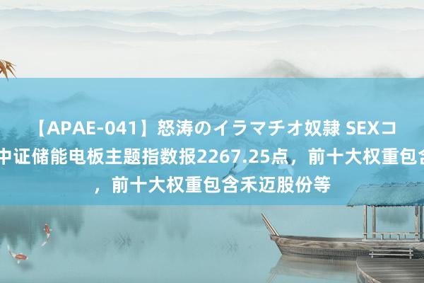 【APAE-041】怒涛のイラマチオ奴隷 SEXコレクション 中证储能电板主题指数报2267.25点，前十大权重包含禾迈股份等