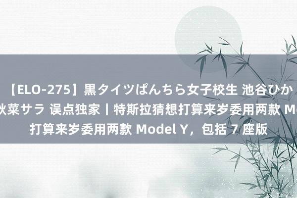 【ELO-275】黒タイツぱんちら女子校生 池谷ひかる さくら 宮下まい 秋菜サラ 误点独家丨特斯拉猜想打算来岁委用两款 Model Y，包括 7 座版