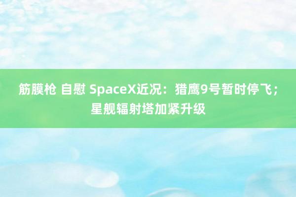 筋膜枪 自慰 SpaceX近况：猎鹰9号暂时停飞；星舰辐射塔加紧升级