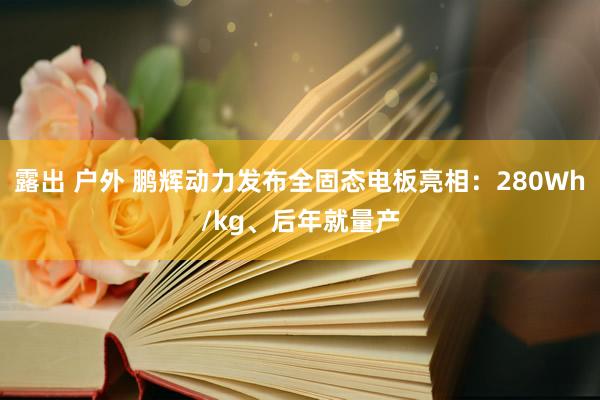 露出 户外 鹏辉动力发布全固态电板亮相：280Wh/kg、后年就量产