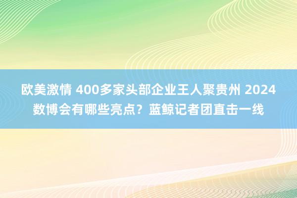 欧美激情 400多家头部企业王人聚贵州 2024数博会有哪些亮点？蓝鲸记者团直击一线