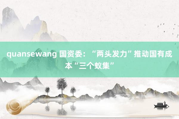 quansewang 国资委：“两头发力”推动国有成本“三个蚁集”