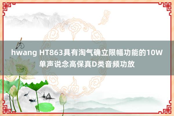 hwang HT863具有淘气确立限幅功能的10W单声说念高保真D类音频功放