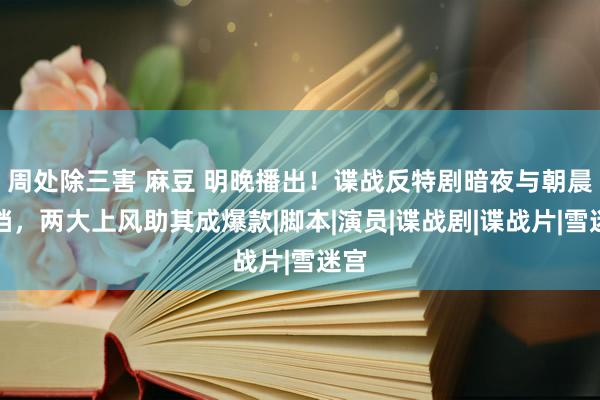 周处除三害 麻豆 明晚播出！谍战反特剧暗夜与朝晨定档，两大上风助其成爆款|脚本|演员|谍战剧|谍战片|雪迷宫