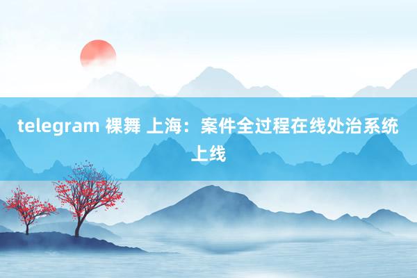 telegram 裸舞 上海：案件全过程在线处治系统上线