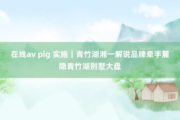 在线av pig 实施︱青竹湖湘一解说品牌牵手麓隐青竹湖别墅大盘